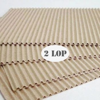 Tấm carton 2 lớp