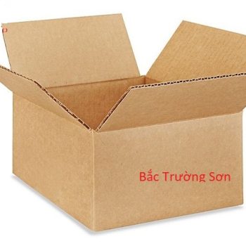 Thùng carton 3 lớp sóng B