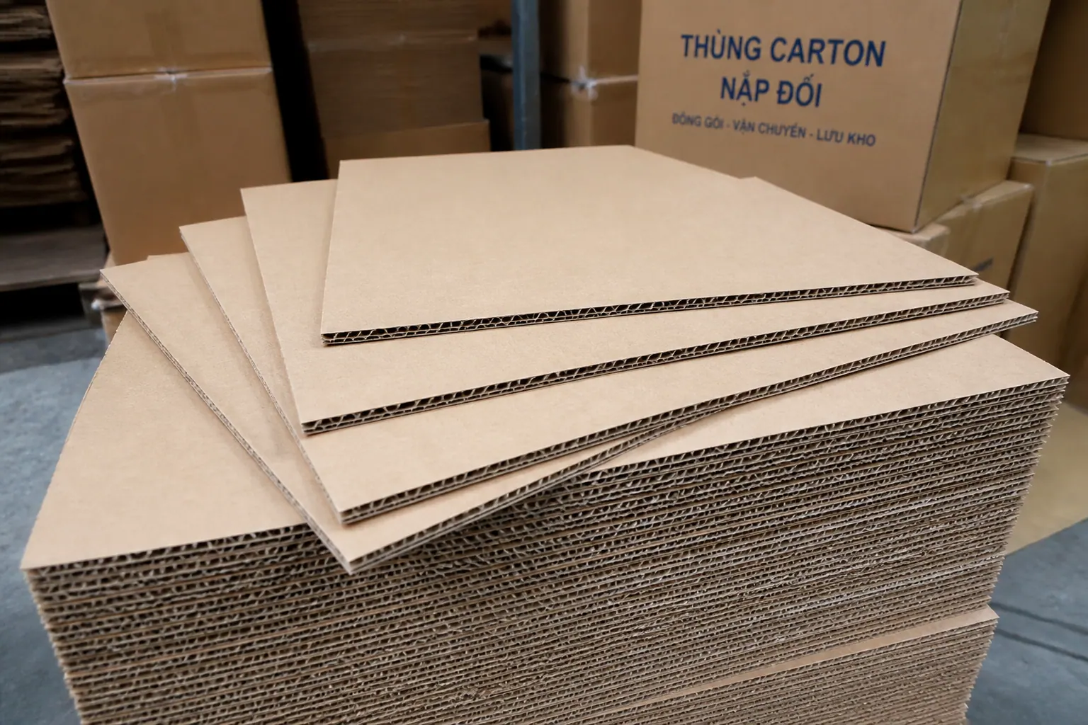 Chất liệu giấy - hộp carton nắp đối