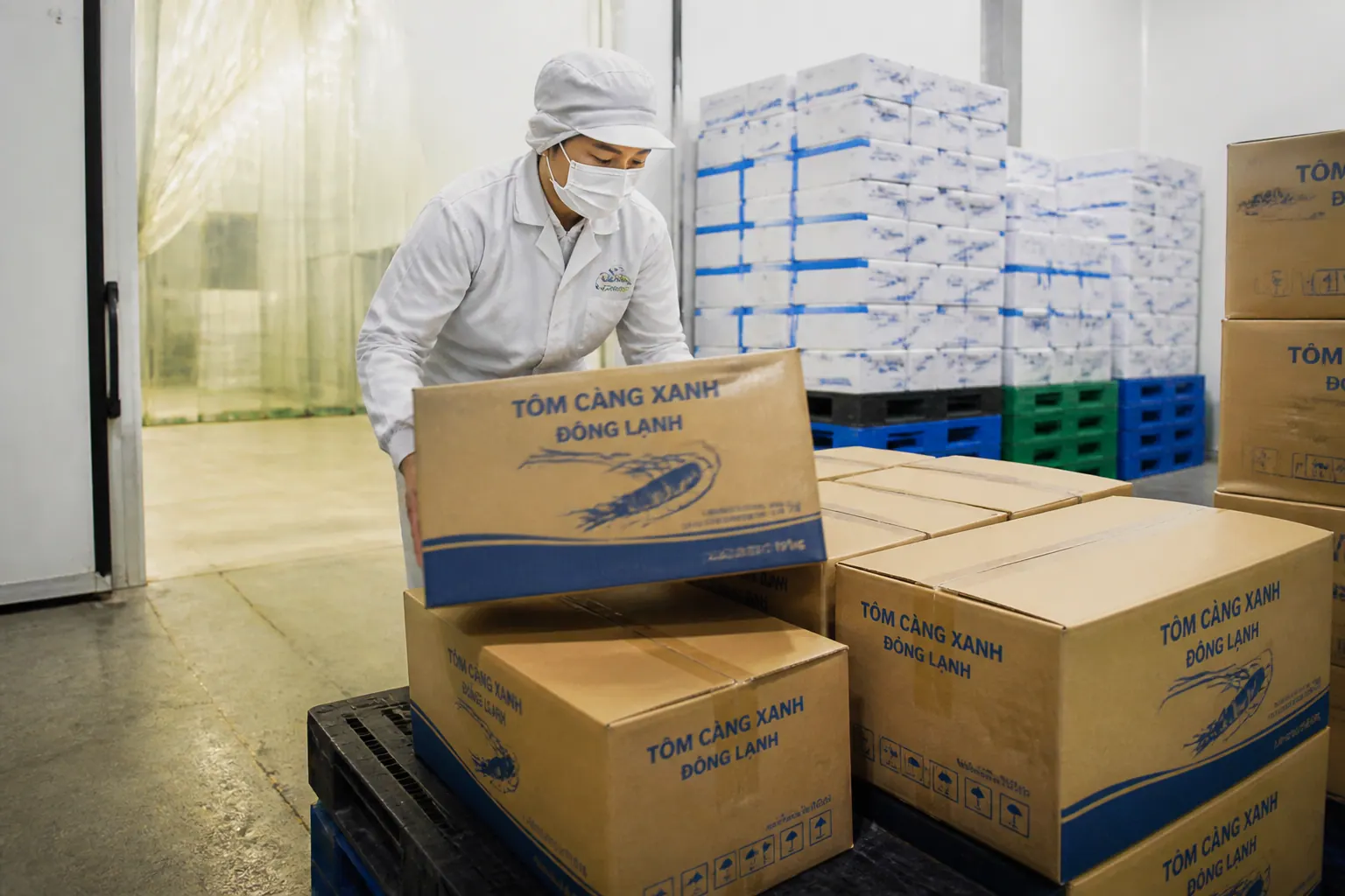 Ngành nông sản, thực phẩm đông lạnh - bao bì carton lạnh