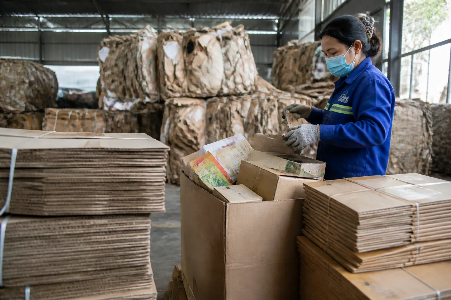 Phân loại bao bì carton tái  theo nguồn gốc và cấu trúc