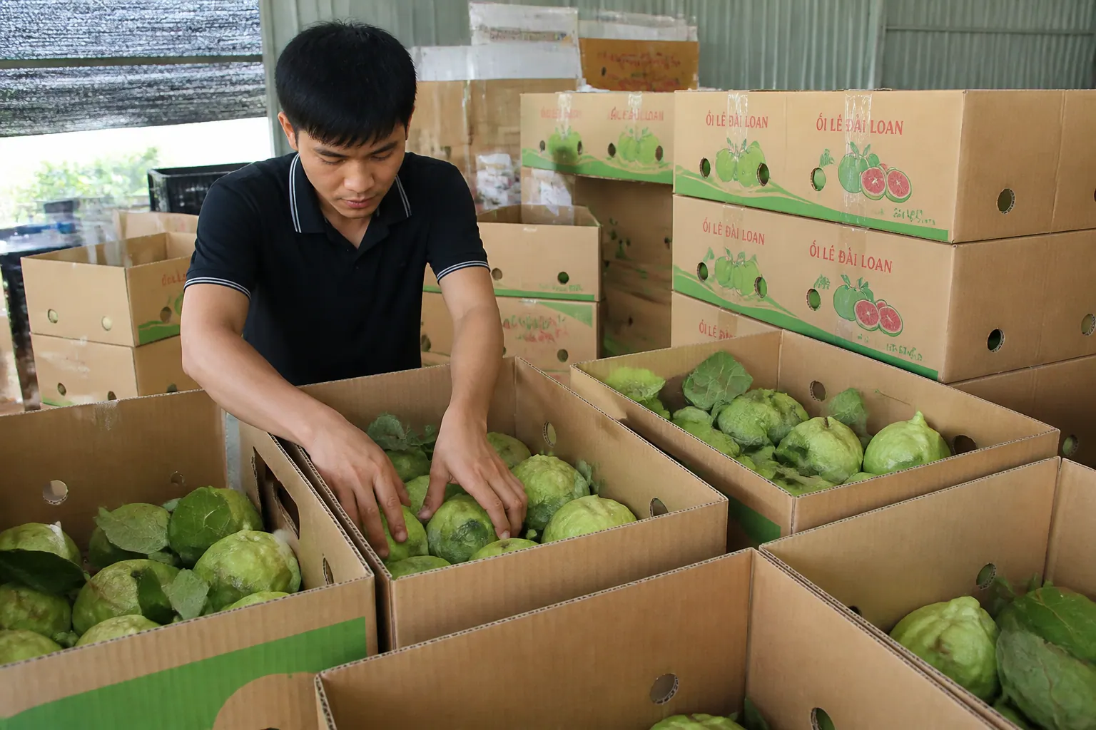 Thùng carton đựng trái cây, nông sản - các loại bao bì carton